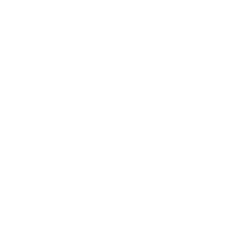 Zigi logo
